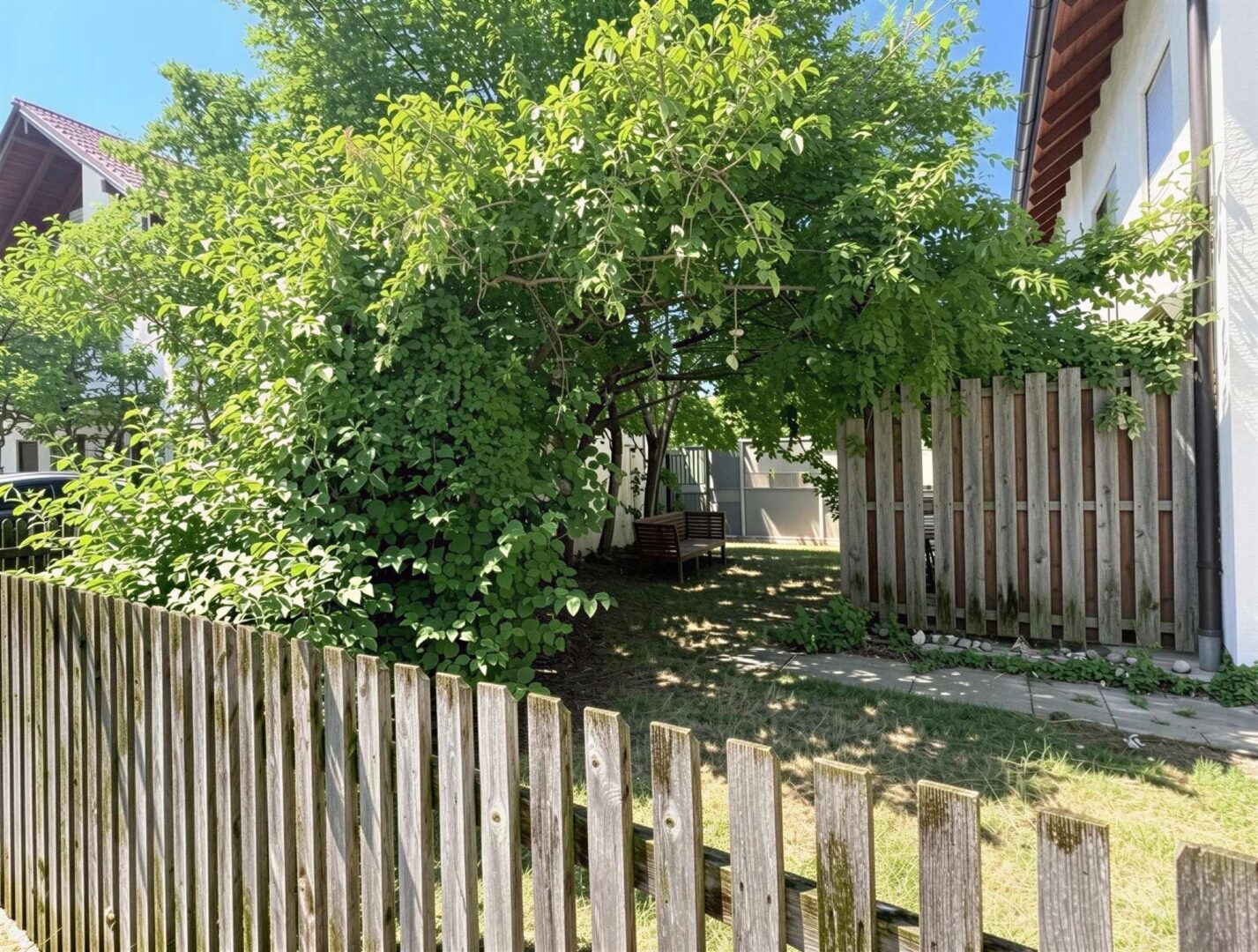 Garten von aussen